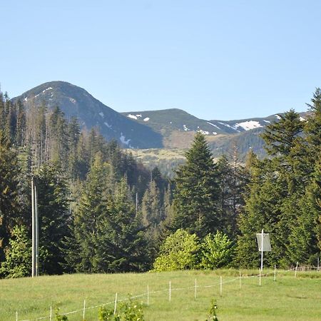 Apartamenty "U Blizniakow" Zakopane Buitenkant foto