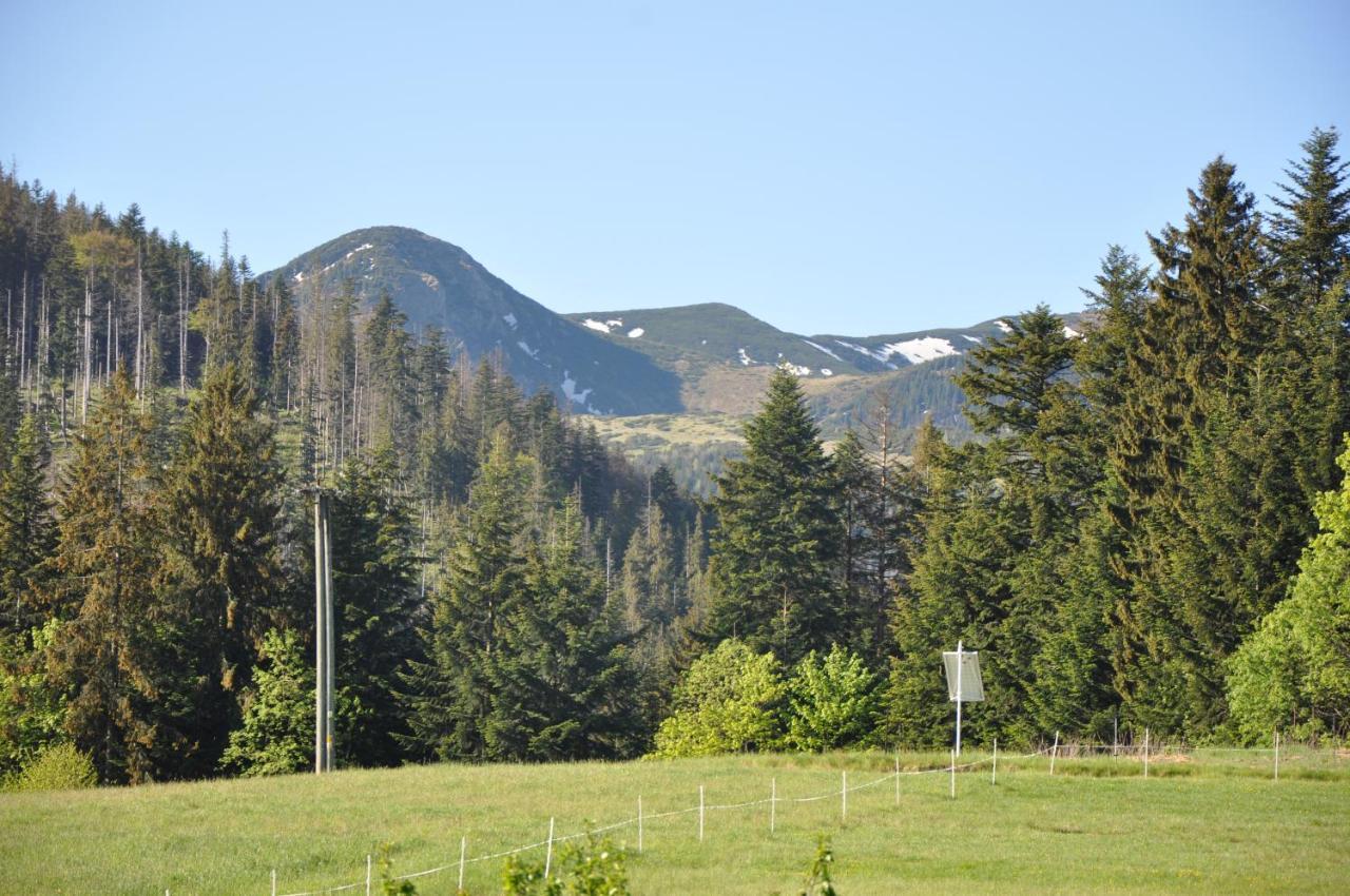 Apartamenty "U Blizniakow" Zakopane Buitenkant foto