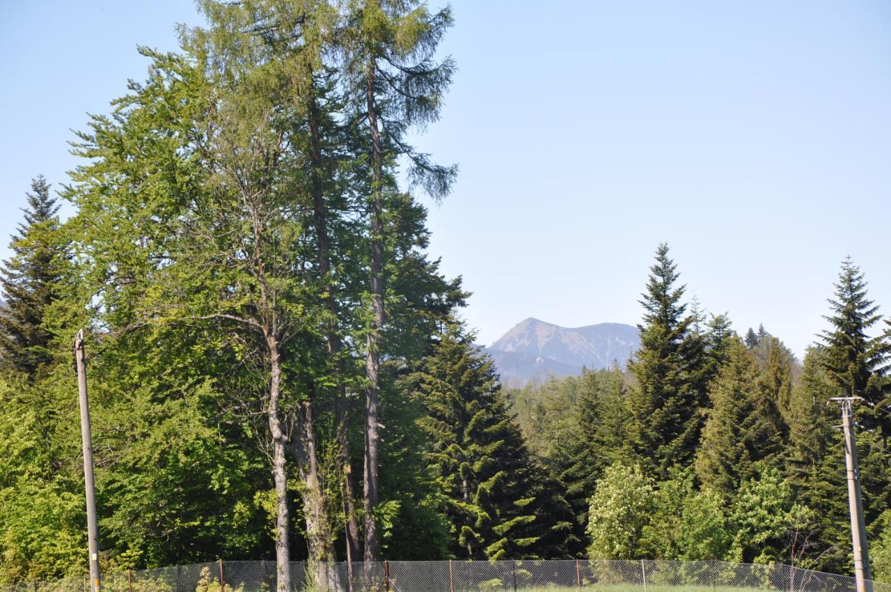 Apartamenty "U Blizniakow" Zakopane Buitenkant foto
