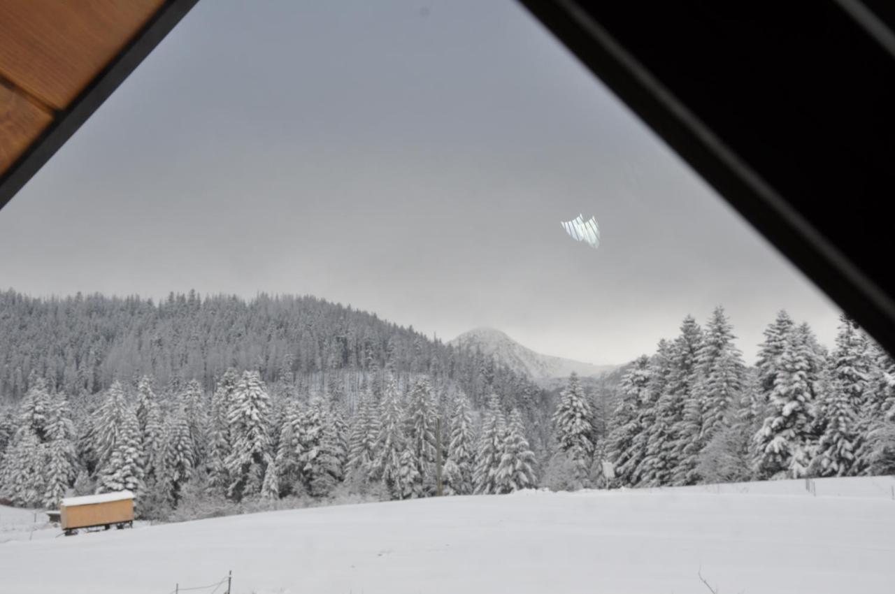 Apartamenty "U Blizniakow" Zakopane Buitenkant foto