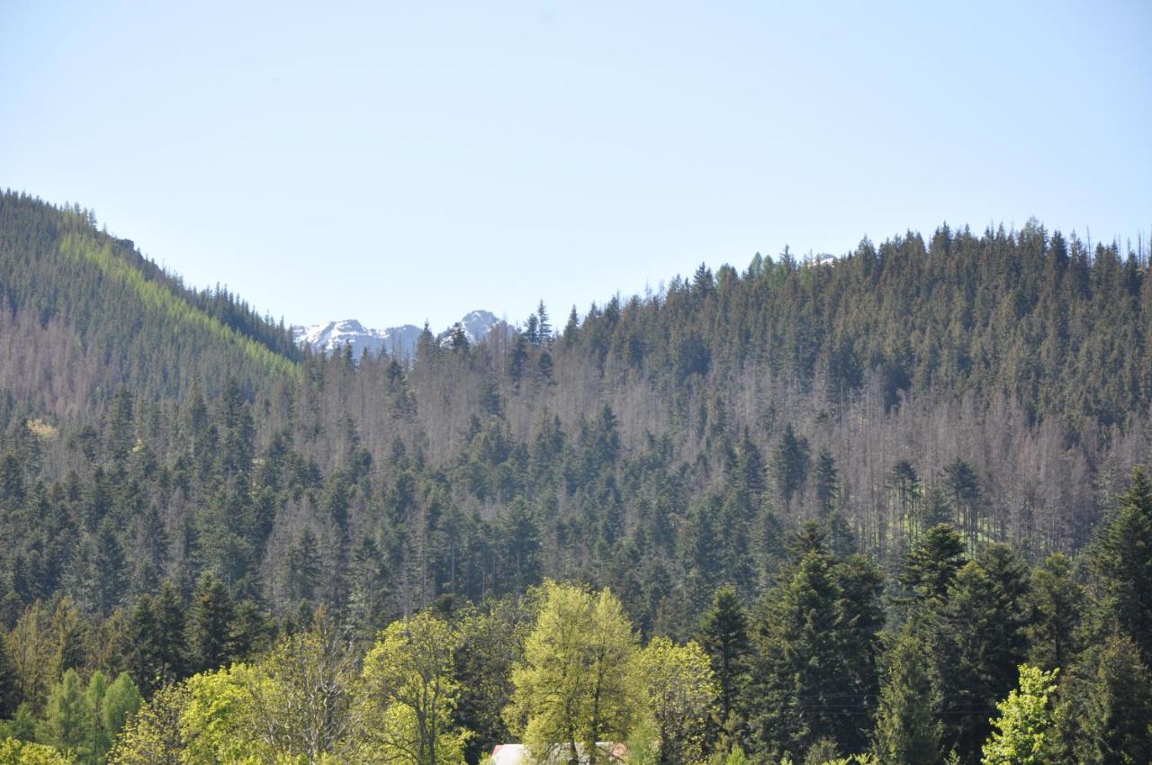 Apartamenty "U Blizniakow" Zakopane Buitenkant foto