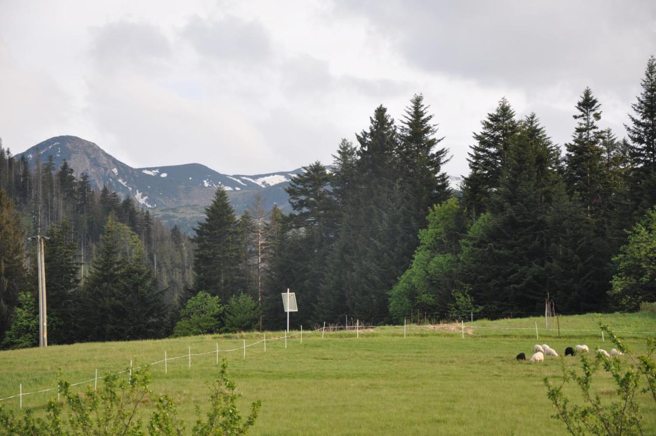 Apartamenty "U Blizniakow" Zakopane Buitenkant foto