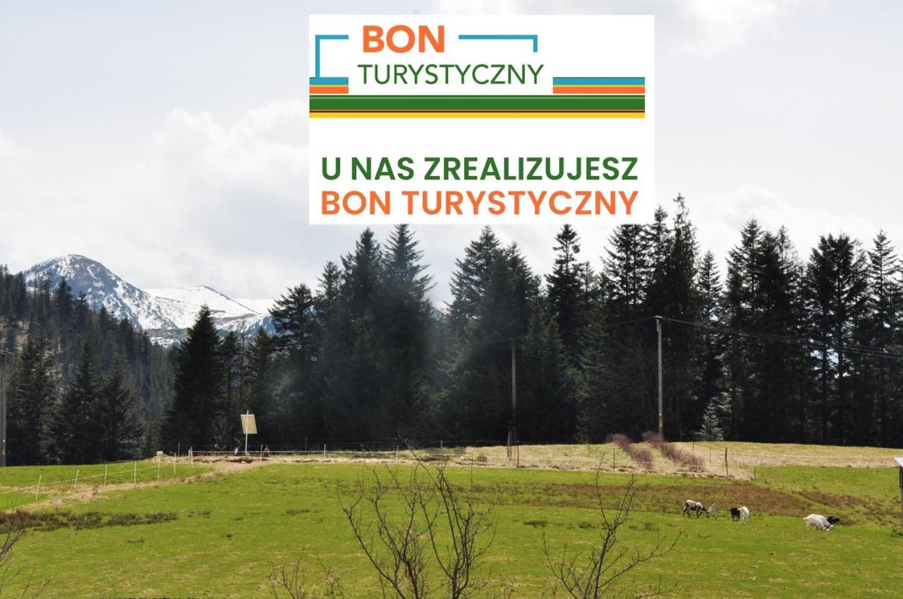 Apartamenty "U Blizniakow" Zakopane Buitenkant foto