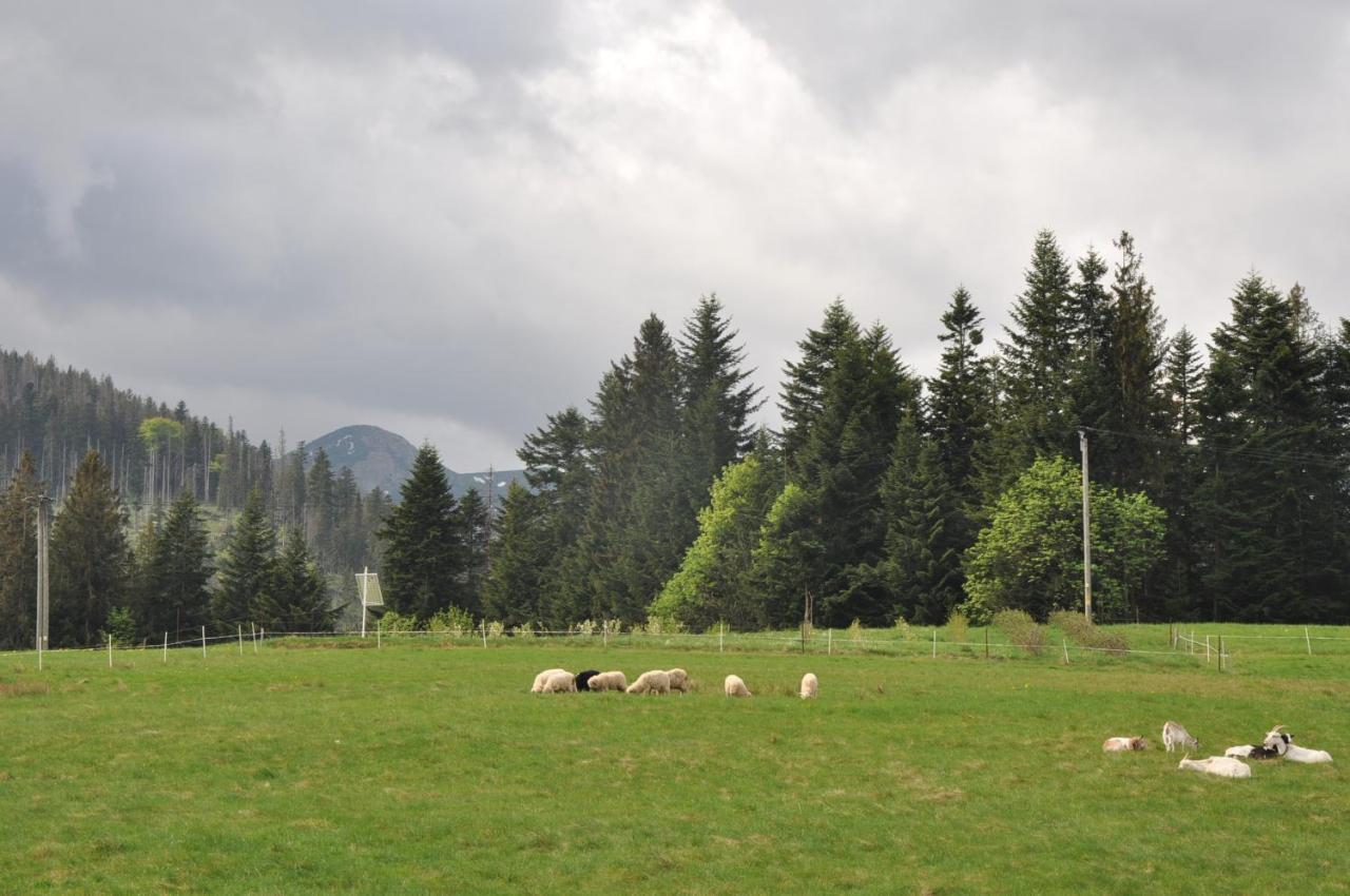 Apartamenty "U Blizniakow" Zakopane Buitenkant foto