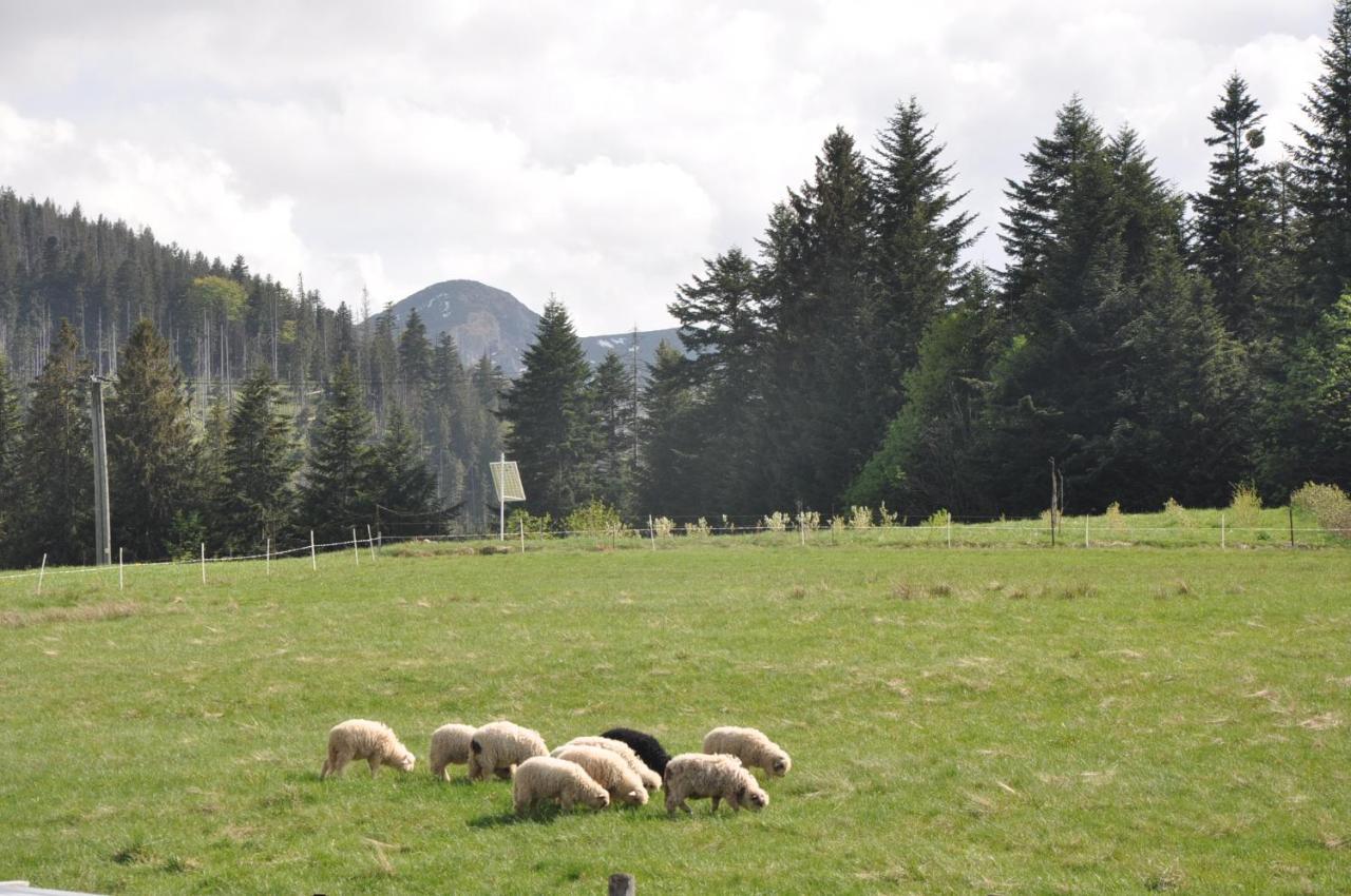 Apartamenty "U Blizniakow" Zakopane Buitenkant foto