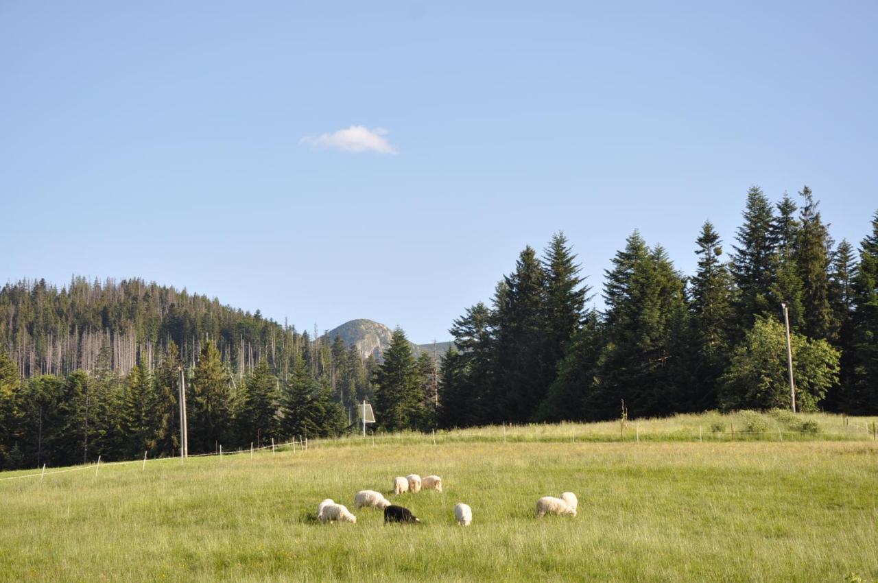 Apartamenty "U Blizniakow" Zakopane Buitenkant foto